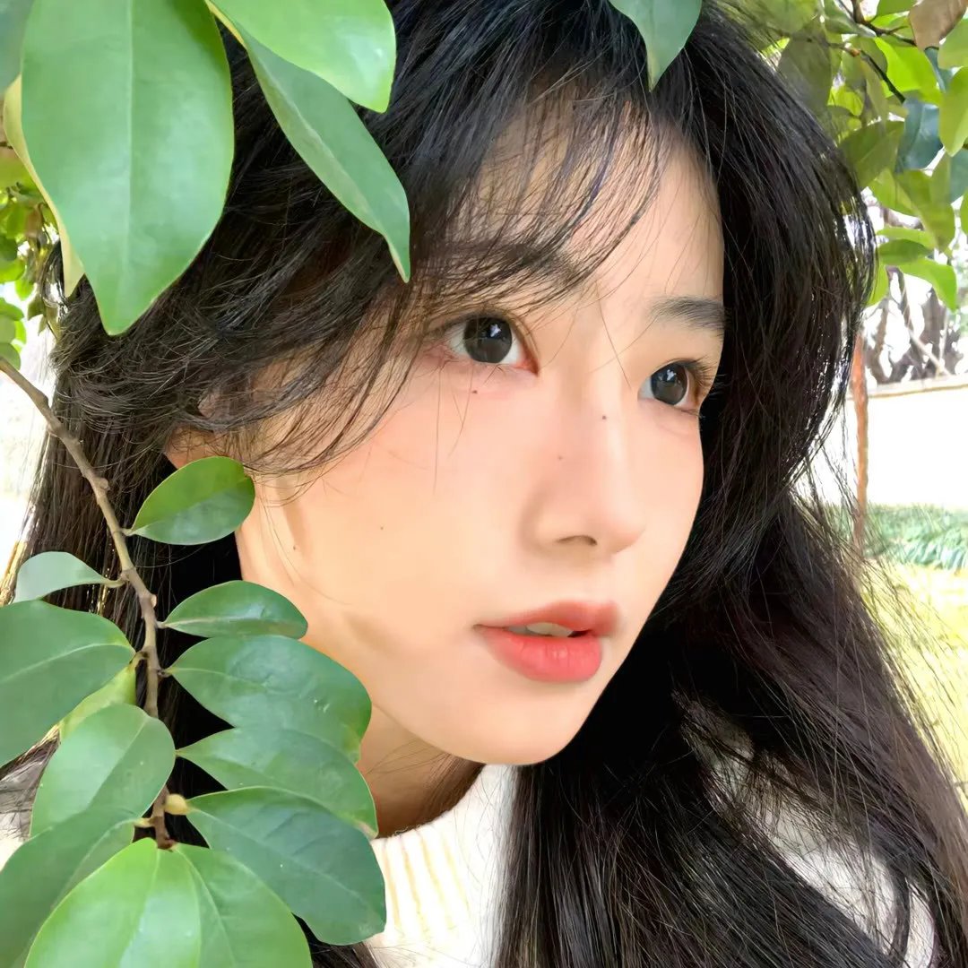 加油呀!茉莉